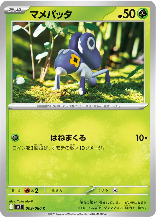 マメバッタ
