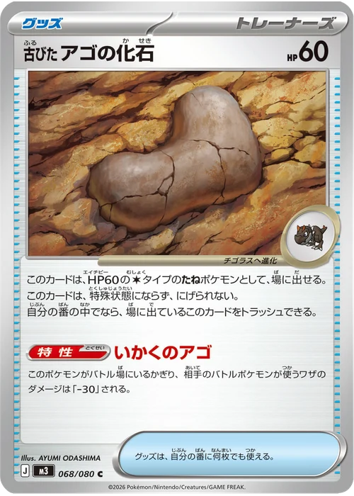 古びたアゴの化石