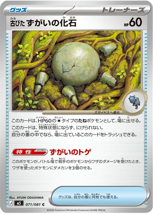 古びたずがいの化石