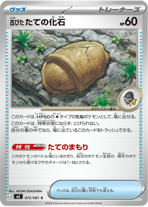 古びたたての化石