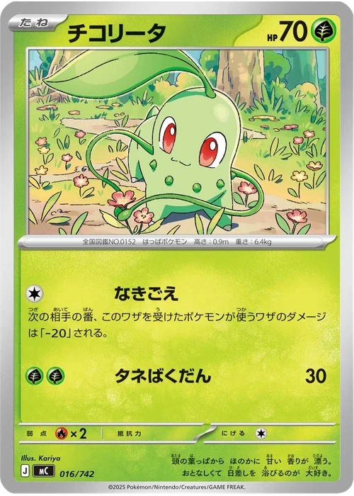 チコリータ