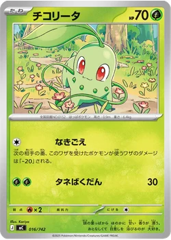 チコリータ