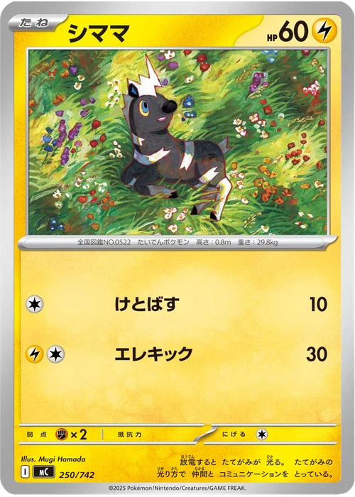 シママ