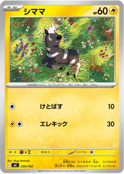 シママ