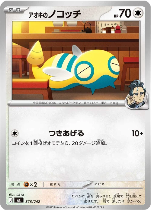 アオキのノコッチ