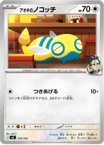 アオキのノコッチ