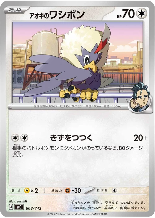 アオキのワシボン
