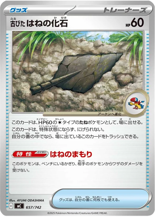 古びたはねの化石