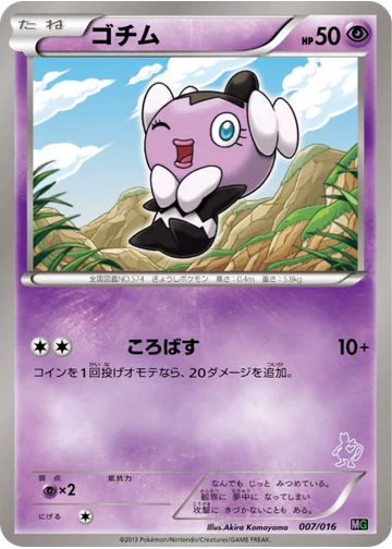 ゴチム
