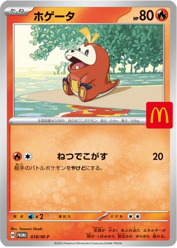 ホゲータ