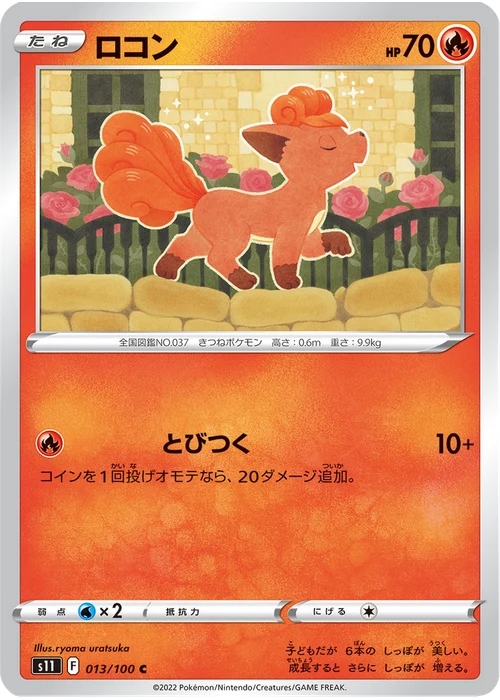ロコン