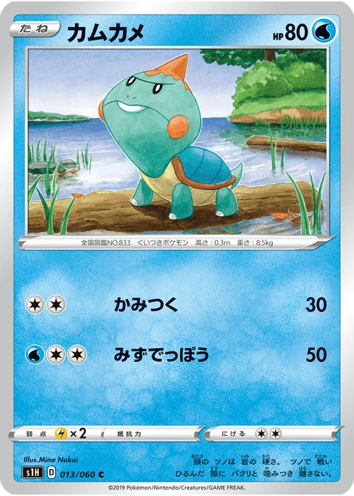 カムカメ