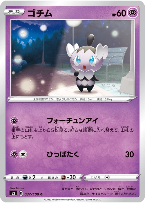 ゴチム