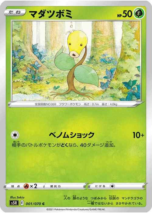 マダツボミ