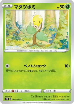 マダツボミ