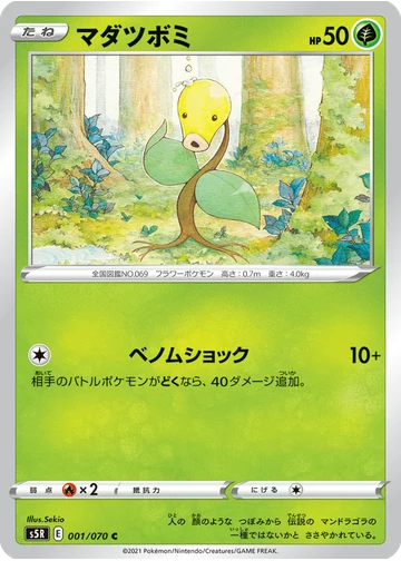 マダツボミ