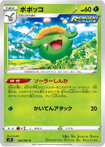 ポポッコ