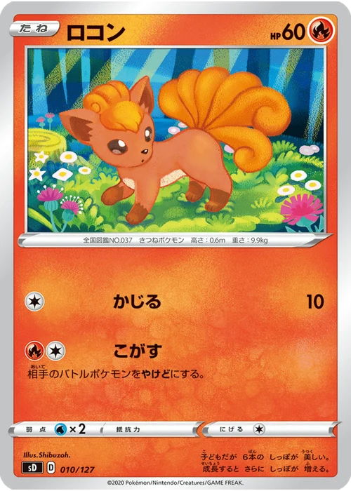 ロコン
