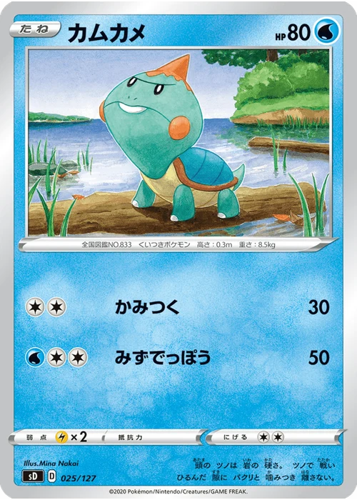 カムカメ