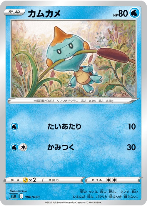 カムカメ