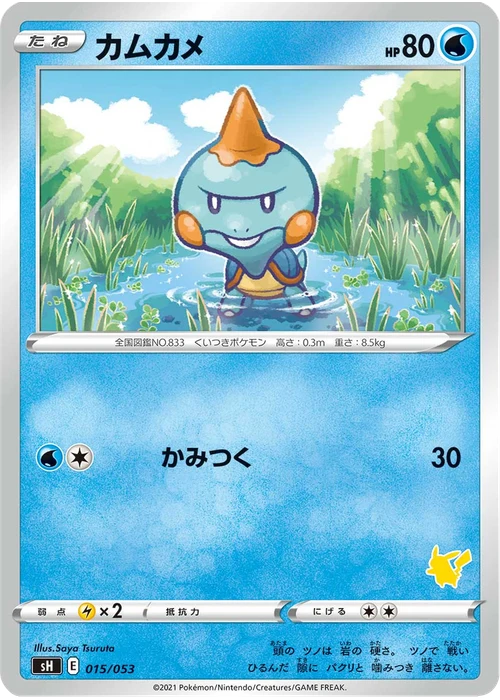 カムカメ