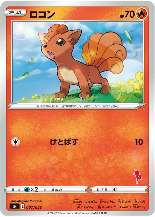 ロコン