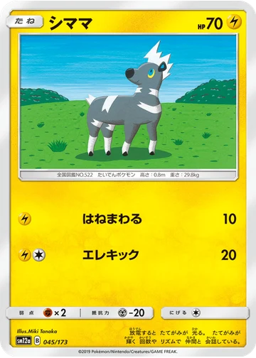 シママ