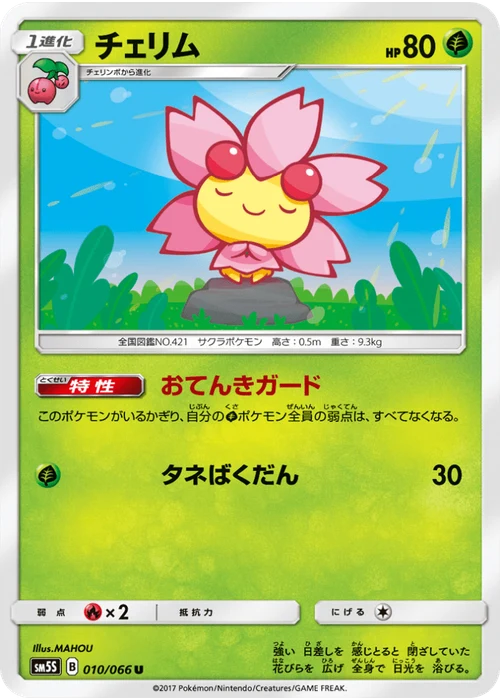 チェリム