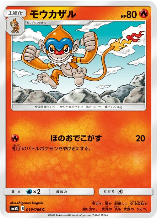 モウカザル