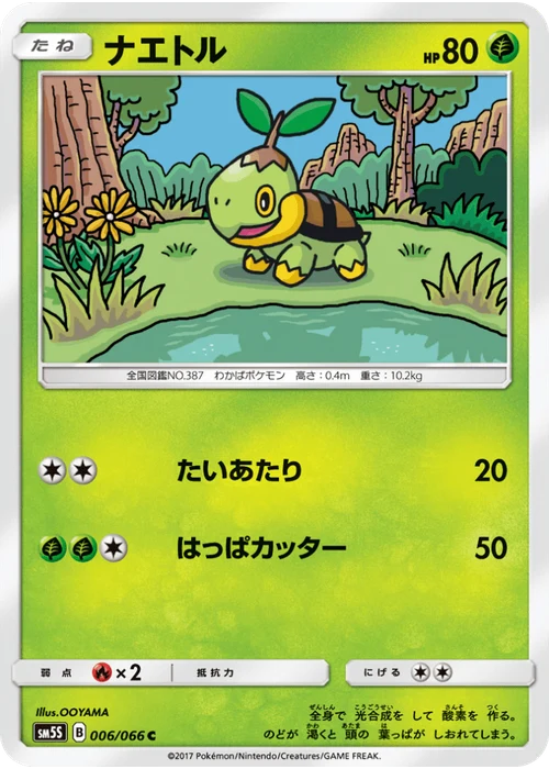 ナエトル