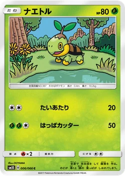 ナエトル