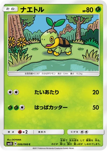 ナエトル