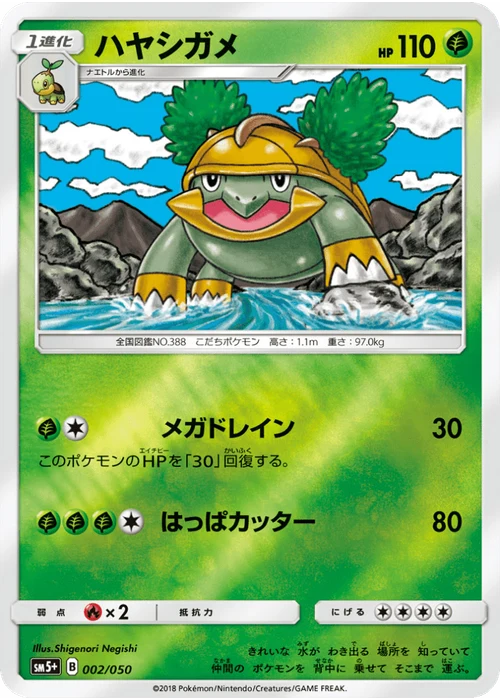 ハヤシガメ