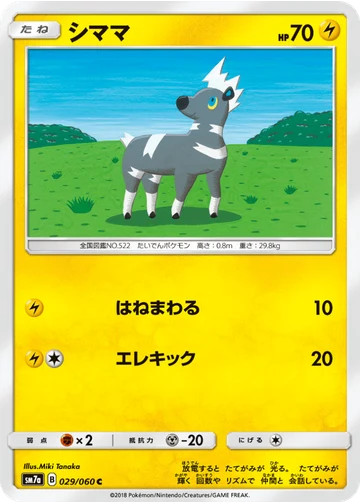 シママ