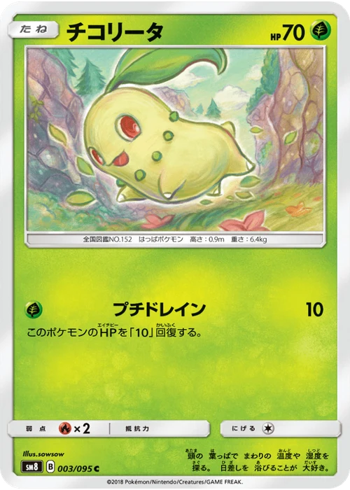 チコリータ