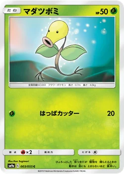マダツボミ