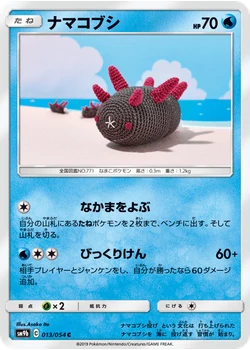 ナマコブシ