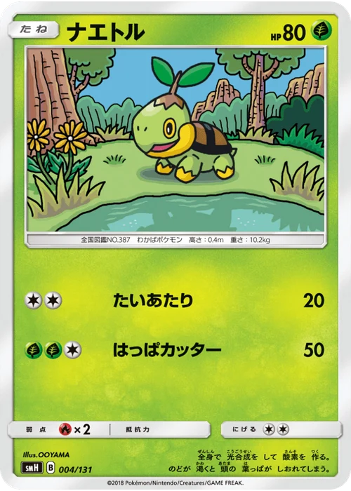 ナエトル