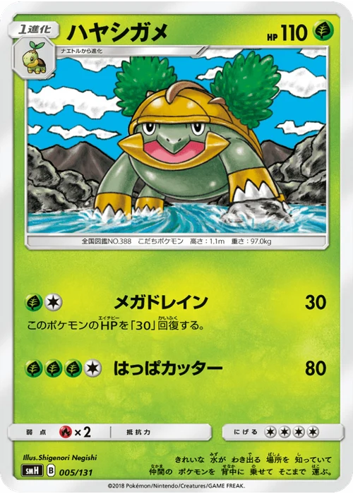 ハヤシガメ