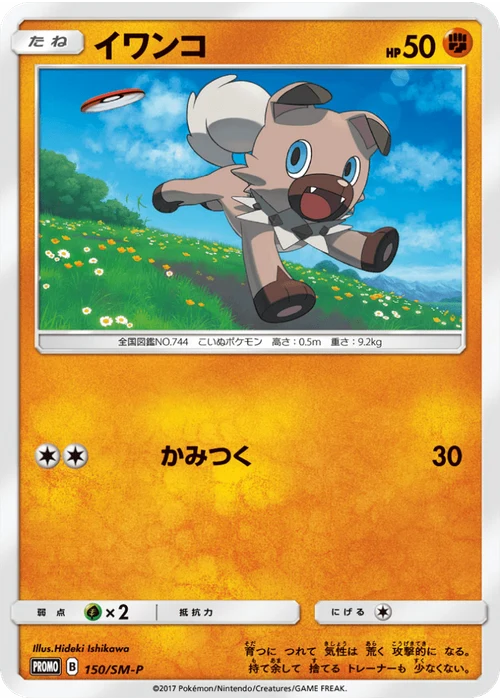 イワンコ