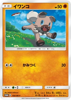 イワンコ