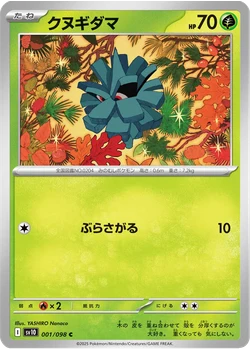 クヌギダマ