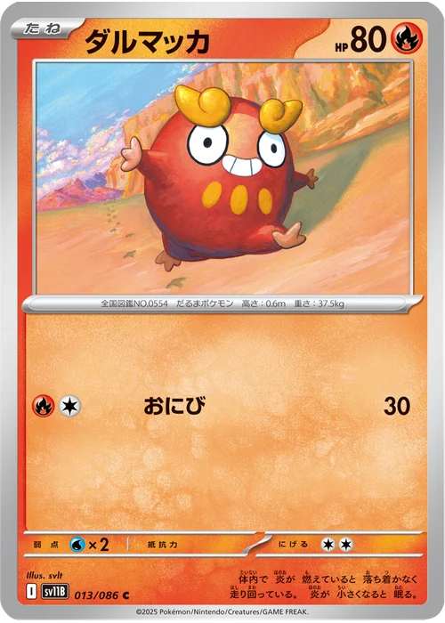 ダルマッカ