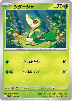 ツタージャ