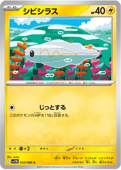 シビシラス