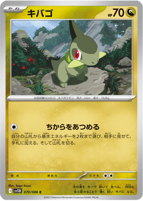 キバゴ
