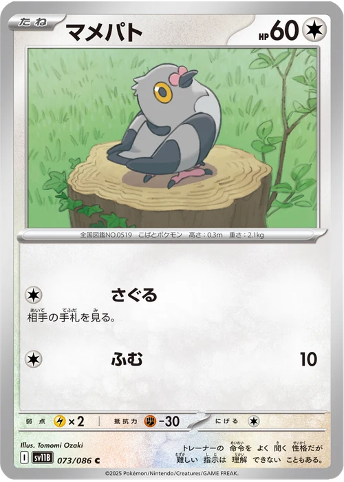 マメパト