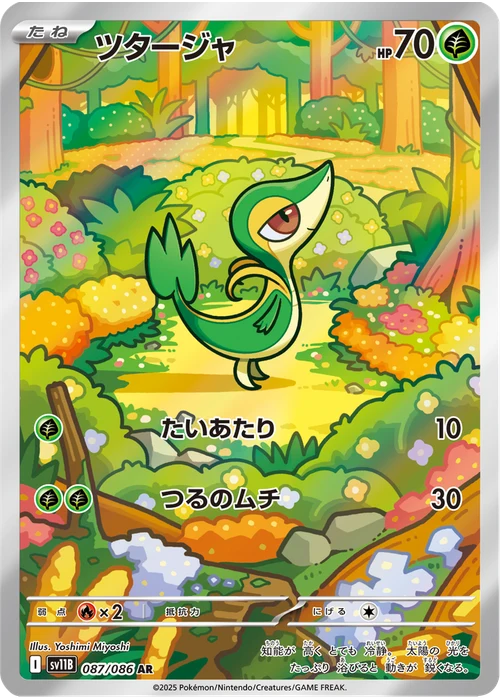 ツタージャ