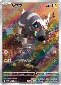 シママ