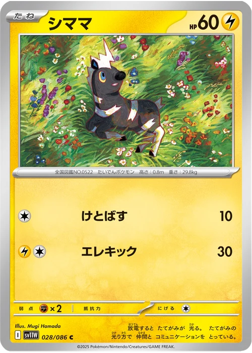 シママ